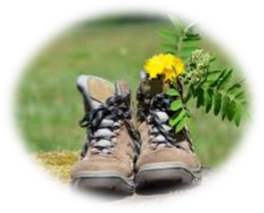 LRB Godasses et Sentiers