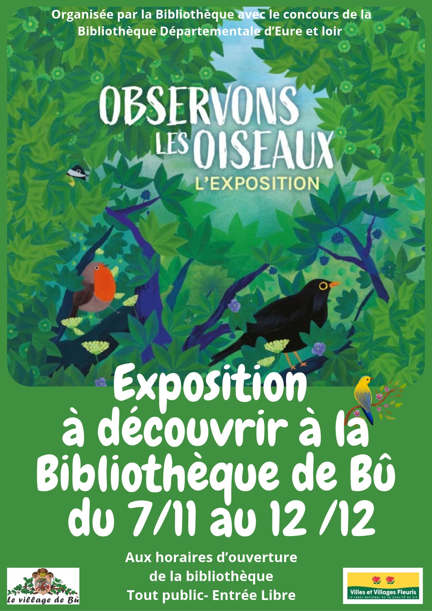 🐦️﻿ Exposition oiseaux ﻿﻿🐦️